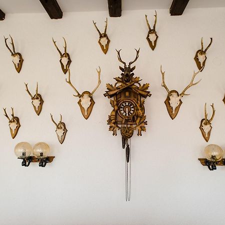 Hotel Dachsberger-Hof Wittenschwand Zewnętrze zdjęcie