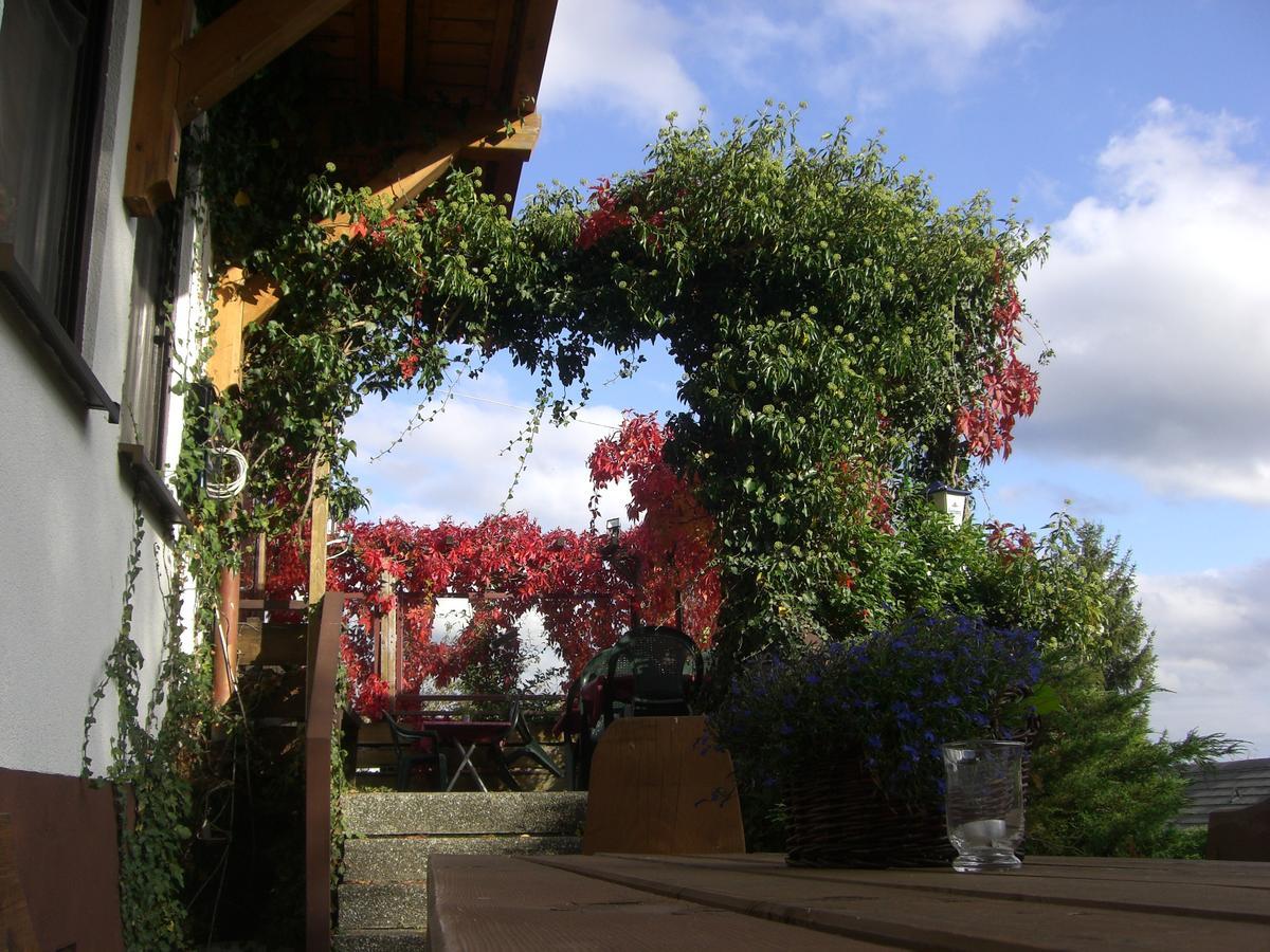 Hotel Dachsberger-Hof Wittenschwand Zewnętrze zdjęcie