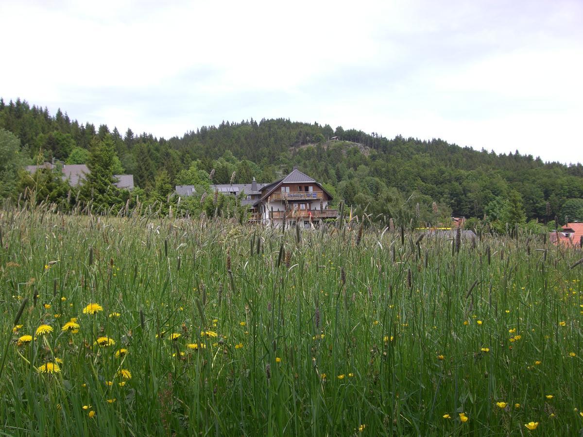 Hotel Dachsberger-Hof Wittenschwand Zewnętrze zdjęcie