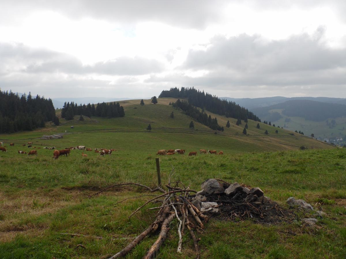 Hotel Dachsberger-Hof Wittenschwand Zewnętrze zdjęcie