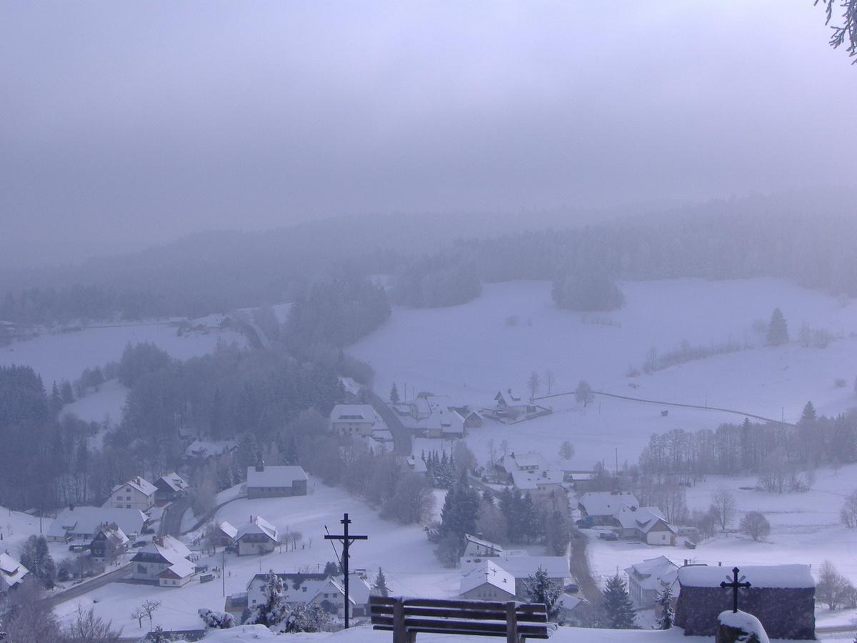 Hotel Dachsberger-Hof Wittenschwand Zewnętrze zdjęcie